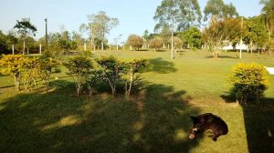 Aluguel de sítio em temporada