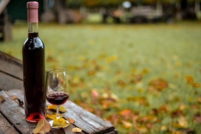 André Luiz Veiga Lauria