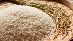 Agenor Vicente Pelissa