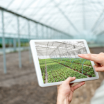 Carlos Alberto Arges Júnior analisa como os jovens produtores estão transformando o campo com inovação e tecnologia.