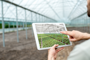Carlos Alberto Arges Júnior analisa como os jovens produtores estão transformando o campo com inovação e tecnologia.