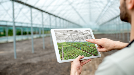 Carlos Alberto Arges Júnior analisa como os jovens produtores estão transformando o campo com inovação e tecnologia.