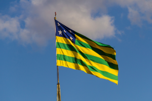 Políticas para Fomentar Startups na Área da Saúde em Goiás e Seus Impactos no Desenvolvimento Regional