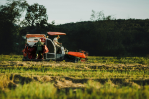 Como as novas medidas para o agronegócio podem impactar Goiás em 2026