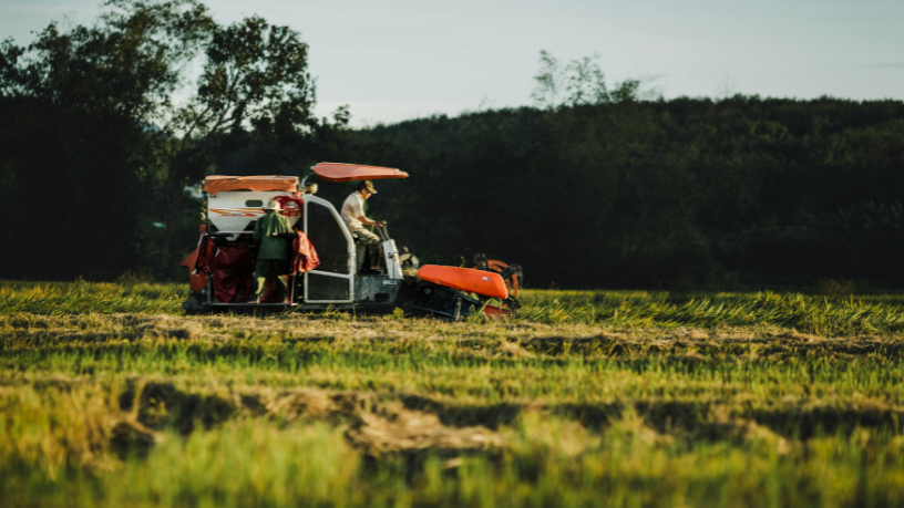 Como as novas medidas para o agronegócio podem impactar Goiás em 2026