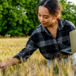 Inteligência artificial e agronegócio: como a nova onda tecnológica está transformando Goiás