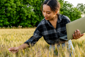 Inteligência artificial e agronegócio: como a nova onda tecnológica está transformando Goiás