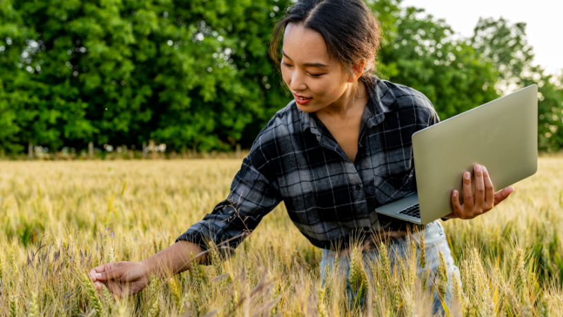 Inteligência artificial e agronegócio: como a nova onda tecnológica está transformando Goiás