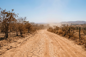 Calor extremo coloca Goiás entre os estados mais quentes do Brasil; veja o que muda para os moradores