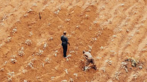 Dois agricultores trabalham em uma área seca e de vegetação escassa.