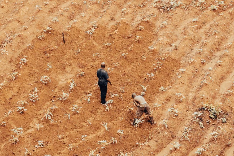 Dois agricultores trabalham em uma área seca e de vegetação escassa.
