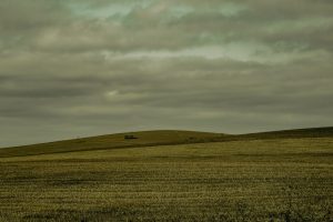 Extensa área de cultivo no Brasil sob céu encoberto, compondo uma paisagem rural.
