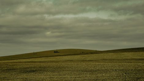 Extensa área de cultivo no Brasil sob céu encoberto, compondo uma paisagem rural.