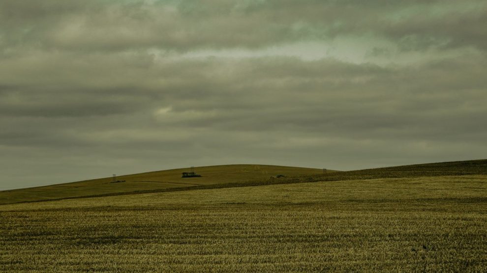 Extensa área de cultivo no Brasil sob céu encoberto, compondo uma paisagem rural.