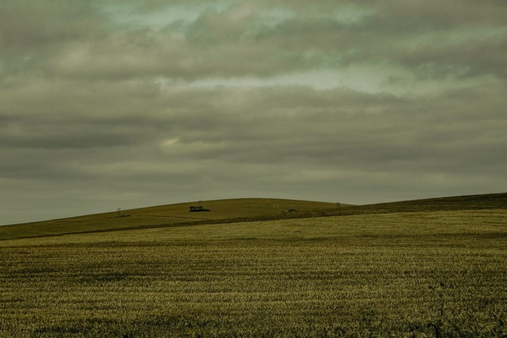 Extensa área de cultivo no Brasil sob céu encoberto, compondo uma paisagem rural.