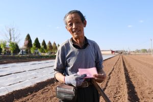 Agricultor idoso segura um documento e uma pá em uma área rural ensolarada.