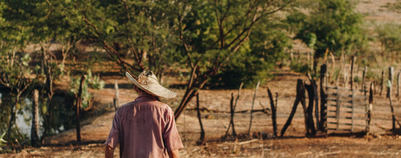 Produtor rural caminha por uma plantação seca.